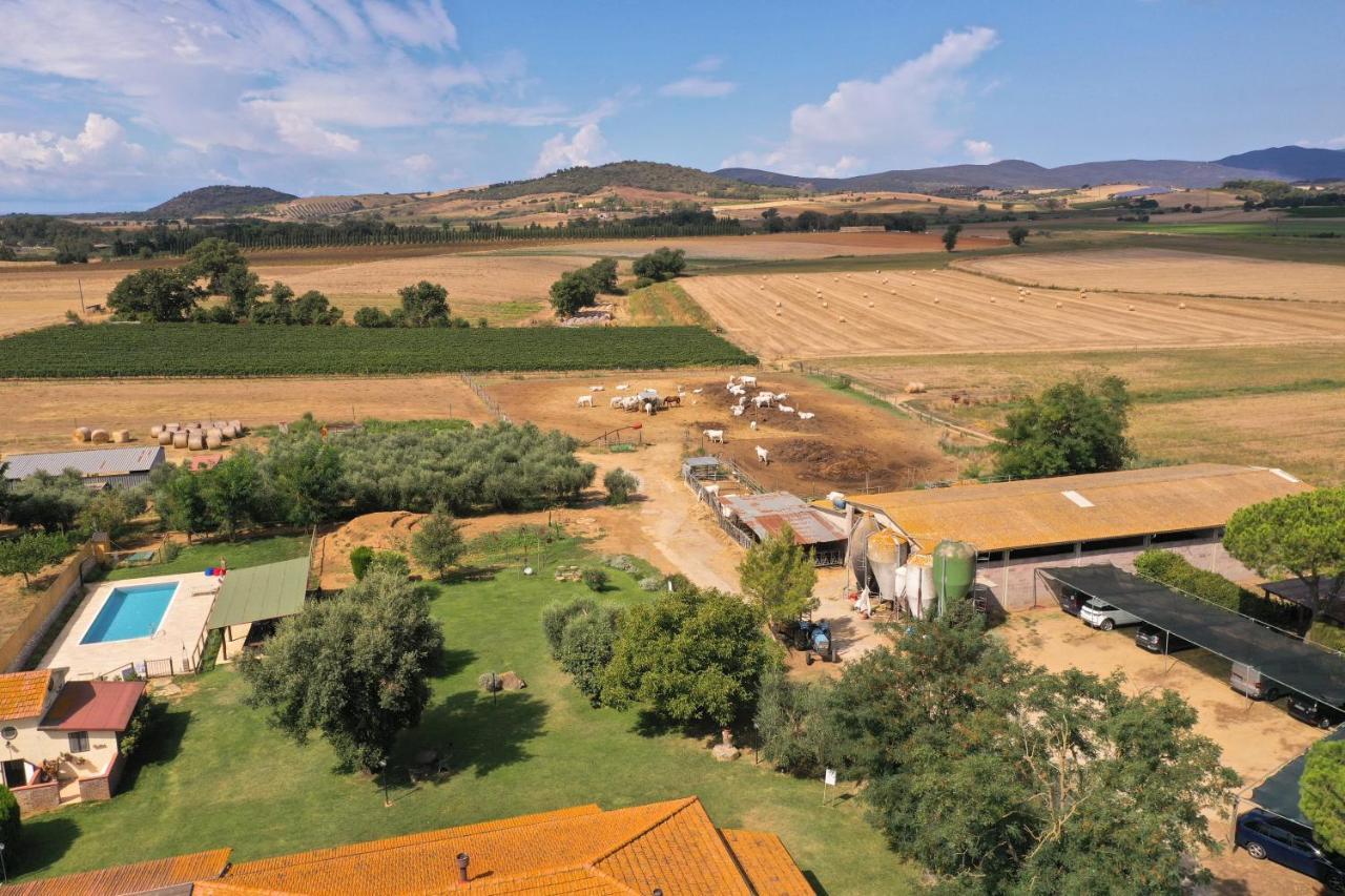 Agriturismo Al Girasole San Donato  Eksteriør billede